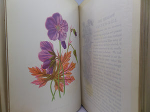 FAMILIAR WILD FLOWERS BY F. EDWARD HULME CA.1880 FIVE VOLUMES COLOUR ILLUSTRATED