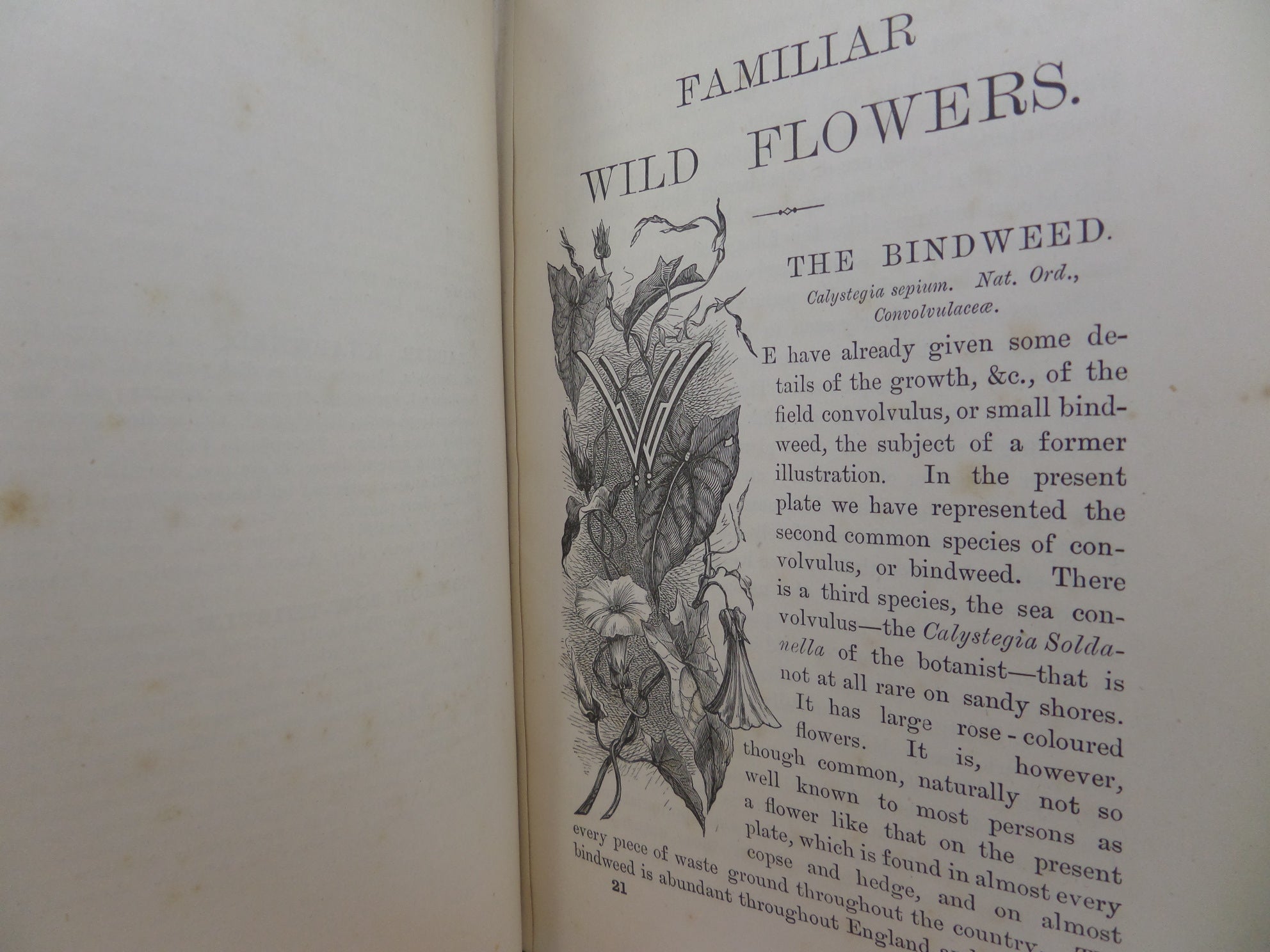 FAMILIAR WILD FLOWERS BY F. EDWARD HULME CA.1880 FIVE VOLUMES COLOUR ILLUSTRATED