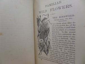 FAMILIAR WILD FLOWERS BY F. EDWARD HULME CA.1880 FIVE VOLUMES COLOUR ILLUSTRATED