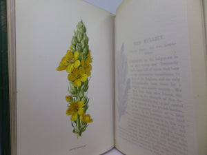 FAMILIAR WILD FLOWERS BY F. EDWARD HULME CA.1880 FIVE VOLUMES COLOUR ILLUSTRATED