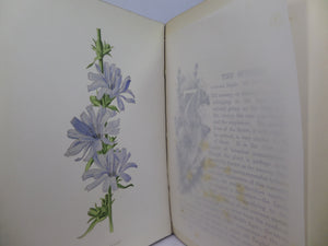 FAMILIAR WILD FLOWERS BY F. EDWARD HULME CA.1880 FIVE VOLUMES COLOUR ILLUSTRATED