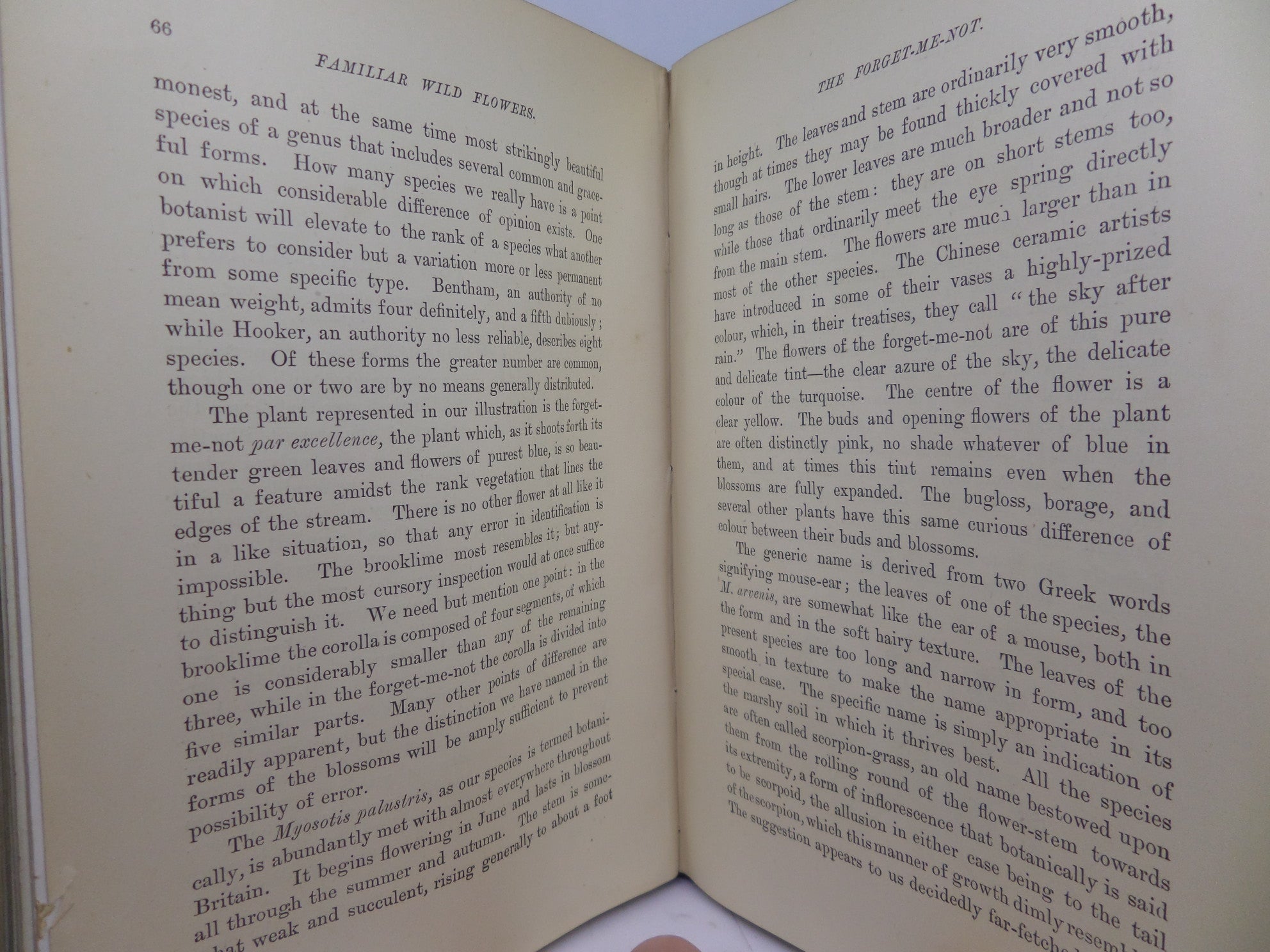 FAMILIAR WILD FLOWERS BY F. EDWARD HULME CA.1880 FIVE VOLUMES COLOUR ILLUSTRATED