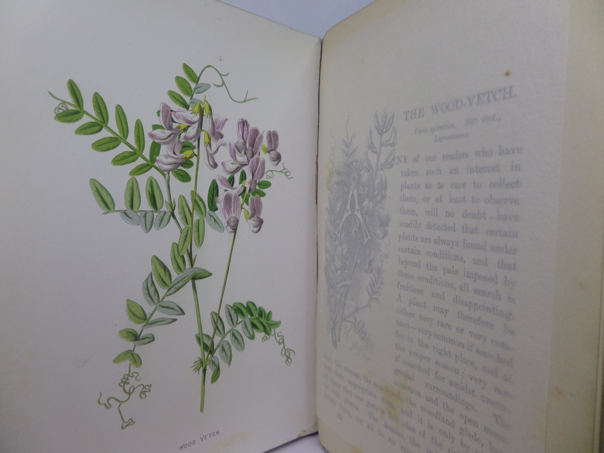 FAMILIAR WILD FLOWERS BY F. EDWARD HULME CA.1880 FIVE VOLUMES COLOUR ILLUSTRATED