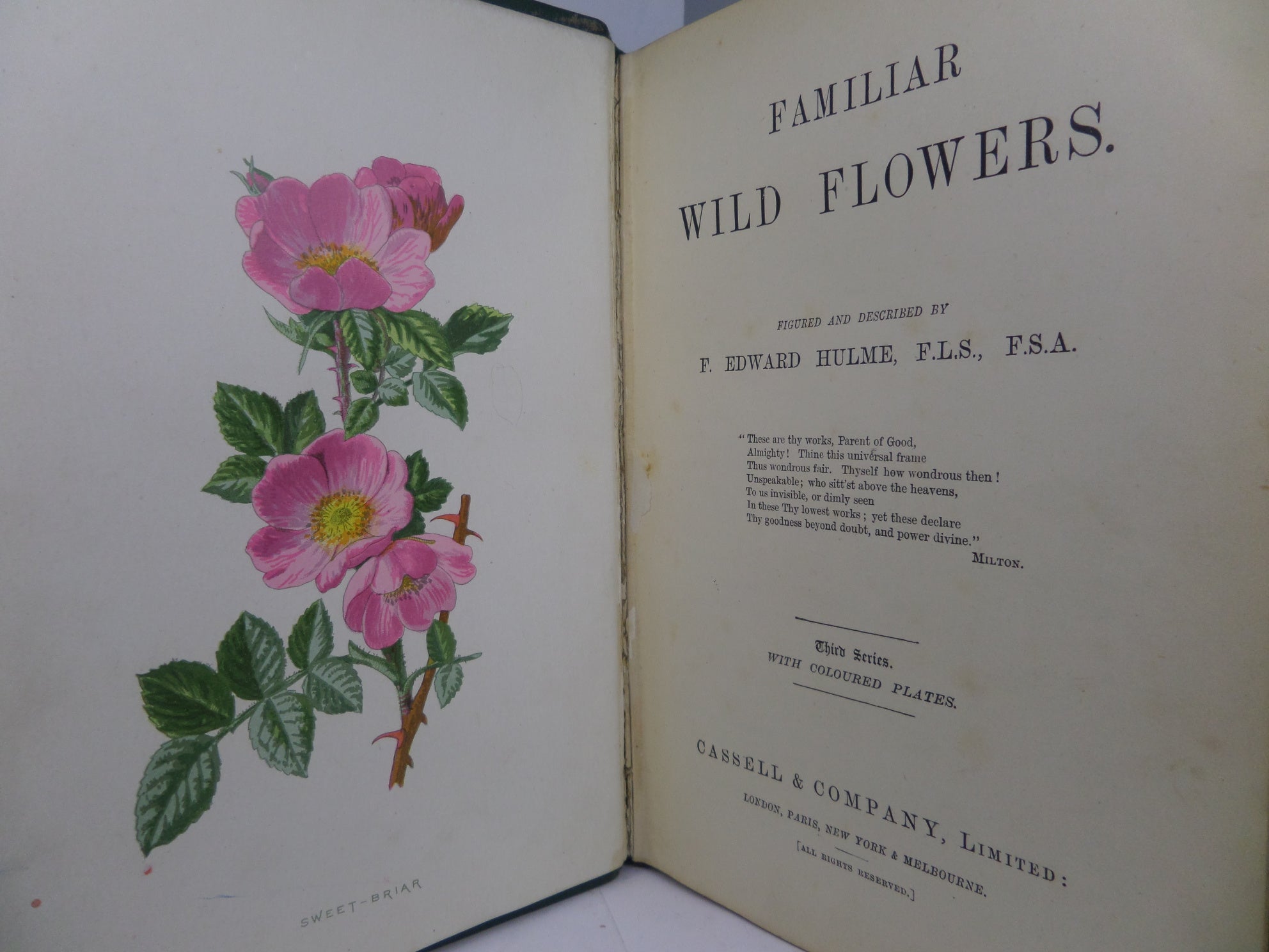 FAMILIAR WILD FLOWERS BY F. EDWARD HULME CA.1880 FIVE VOLUMES COLOUR ILLUSTRATED