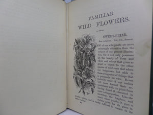 FAMILIAR WILD FLOWERS BY F. EDWARD HULME CA.1880 FIVE VOLUMES COLOUR ILLUSTRATED