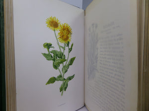 FAMILIAR WILD FLOWERS BY F. EDWARD HULME CA.1880 FIVE VOLUMES COLOUR ILLUSTRATED