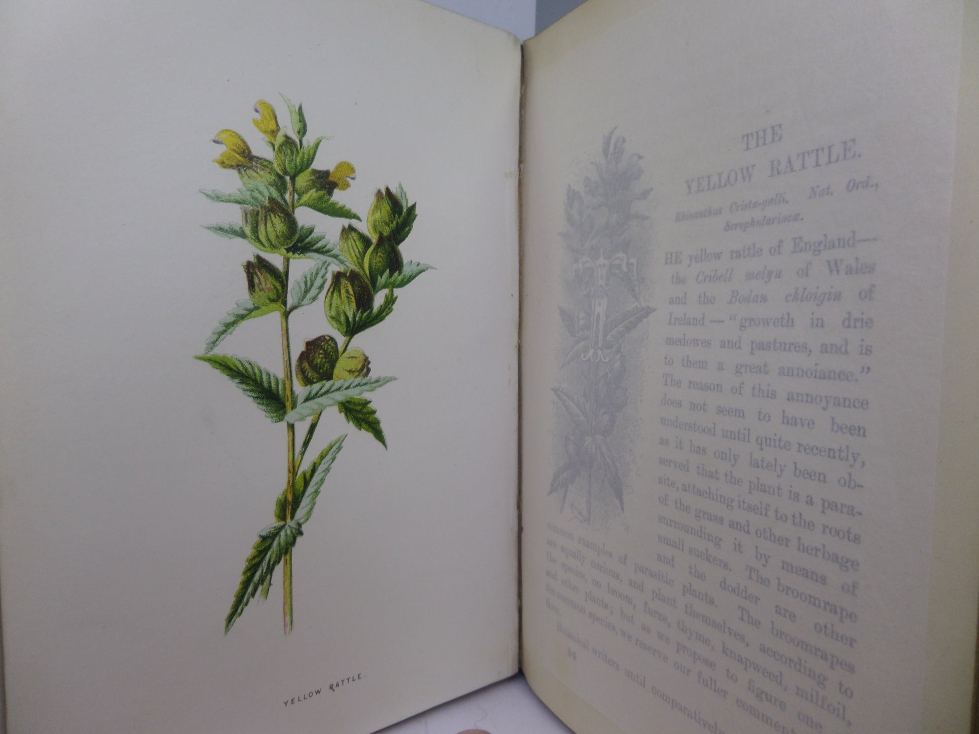 FAMILIAR WILD FLOWERS BY F. EDWARD HULME CA.1880 FIVE VOLUMES COLOUR ILLUSTRATED