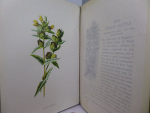 FAMILIAR WILD FLOWERS BY F. EDWARD HULME CA.1880 FIVE VOLUMES COLOUR ILLUSTRATED