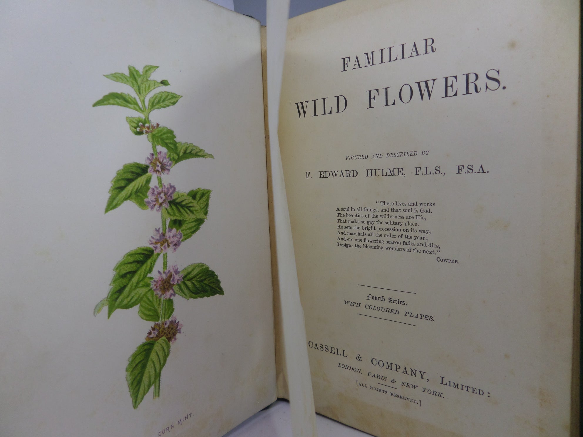 FAMILIAR WILD FLOWERS BY F. EDWARD HULME CA.1880 FIVE VOLUMES COLOUR ILLUSTRATED