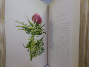 FAMILIAR WILD FLOWERS BY F. EDWARD HULME CA.1880 FIVE VOLUMES COLOUR ILLUSTRATED