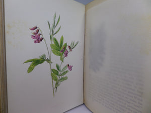 FAMILIAR WILD FLOWERS BY F. EDWARD HULME CA.1880 FIVE VOLUMES COLOUR ILLUSTRATED