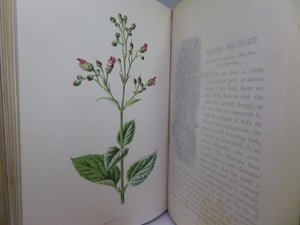 FAMILIAR WILD FLOWERS BY F. EDWARD HULME CA.1880 FIVE VOLUMES COLOUR ILLUSTRATED