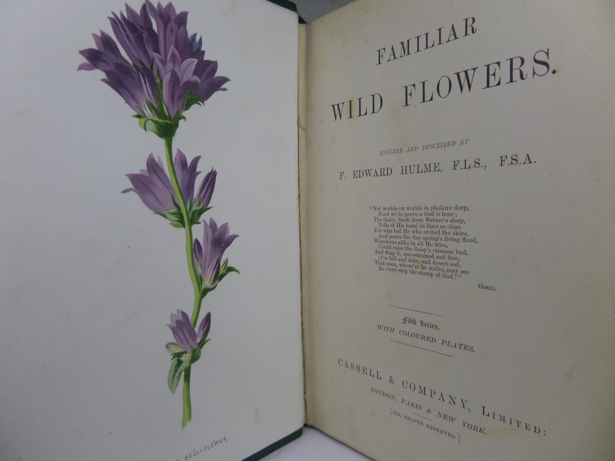 FAMILIAR WILD FLOWERS BY F. EDWARD HULME CA.1880 FIVE VOLUMES COLOUR ILLUSTRATED