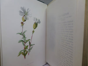 FAMILIAR WILD FLOWERS BY F. EDWARD HULME CA.1880 FIVE VOLUMES COLOUR ILLUSTRATED