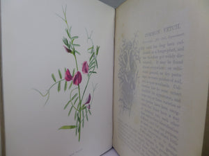 FAMILIAR WILD FLOWERS BY F. EDWARD HULME CA.1880 FIVE VOLUMES COLOUR ILLUSTRATED