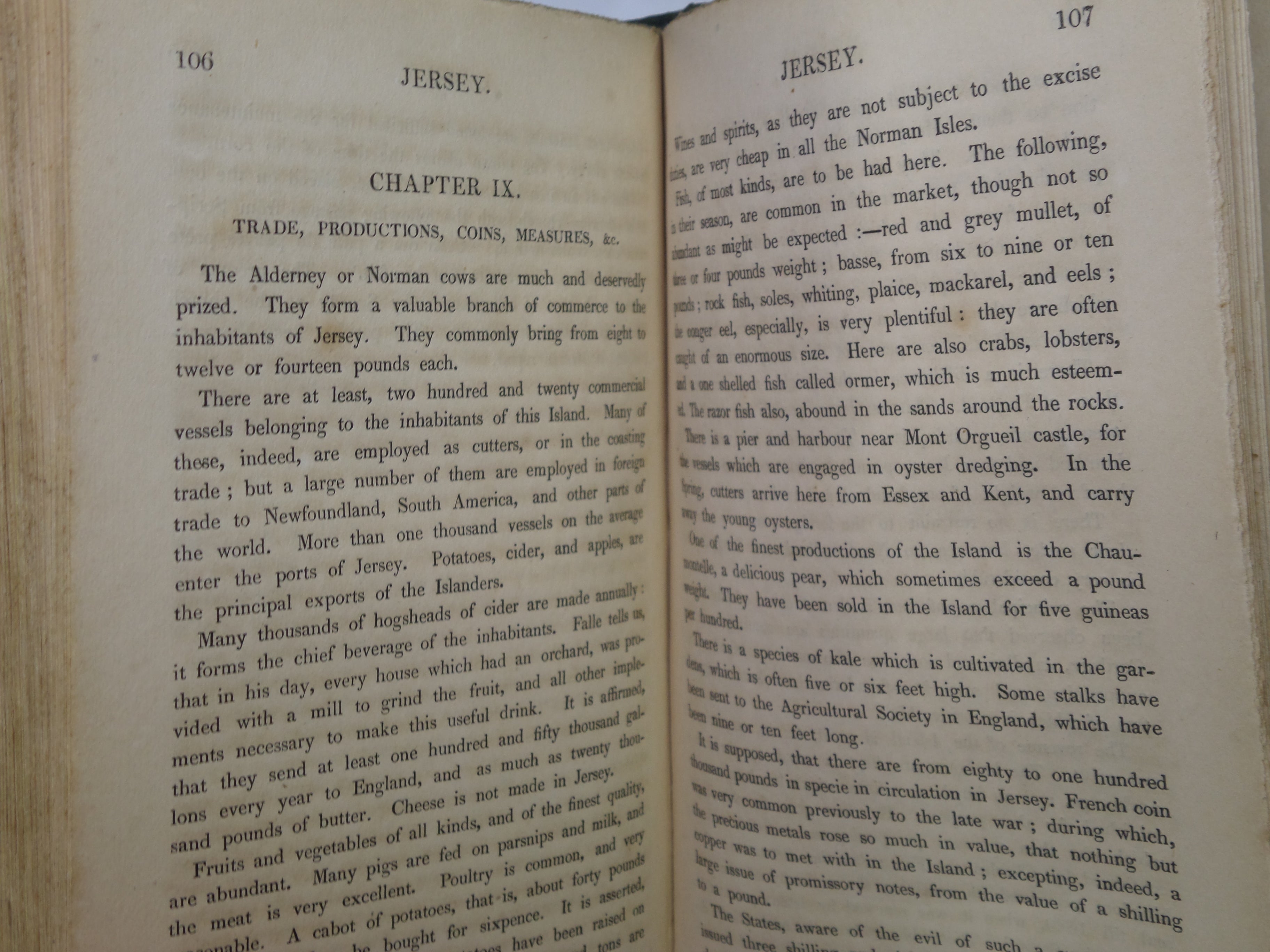 THE STRANGERS' GUIDE TO THE ISLANDS OF GUERNSEY AND JERSEY 1833 FIRST EDITION