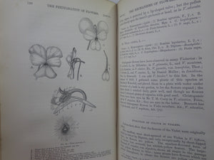 THE FERTILISATION OF FLOWERS BY HERMANN MULLER 1883 FIRST EDITION