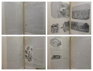 THE ABC OF BEE CULTURE BY A. I. ROOT 1883
