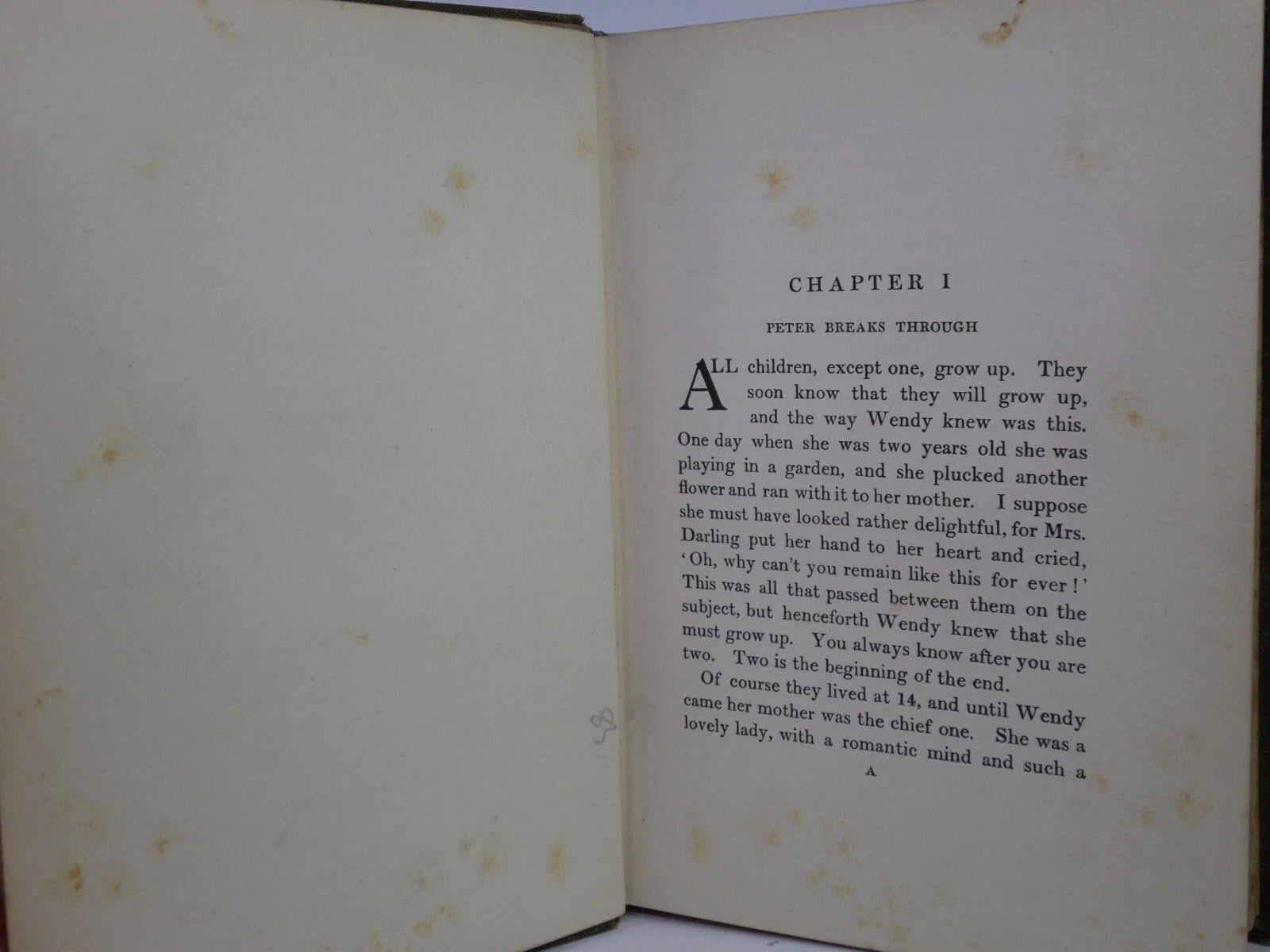 PETER AND WENDY BY J.M. BARRIE 1911 FIRST EDITION