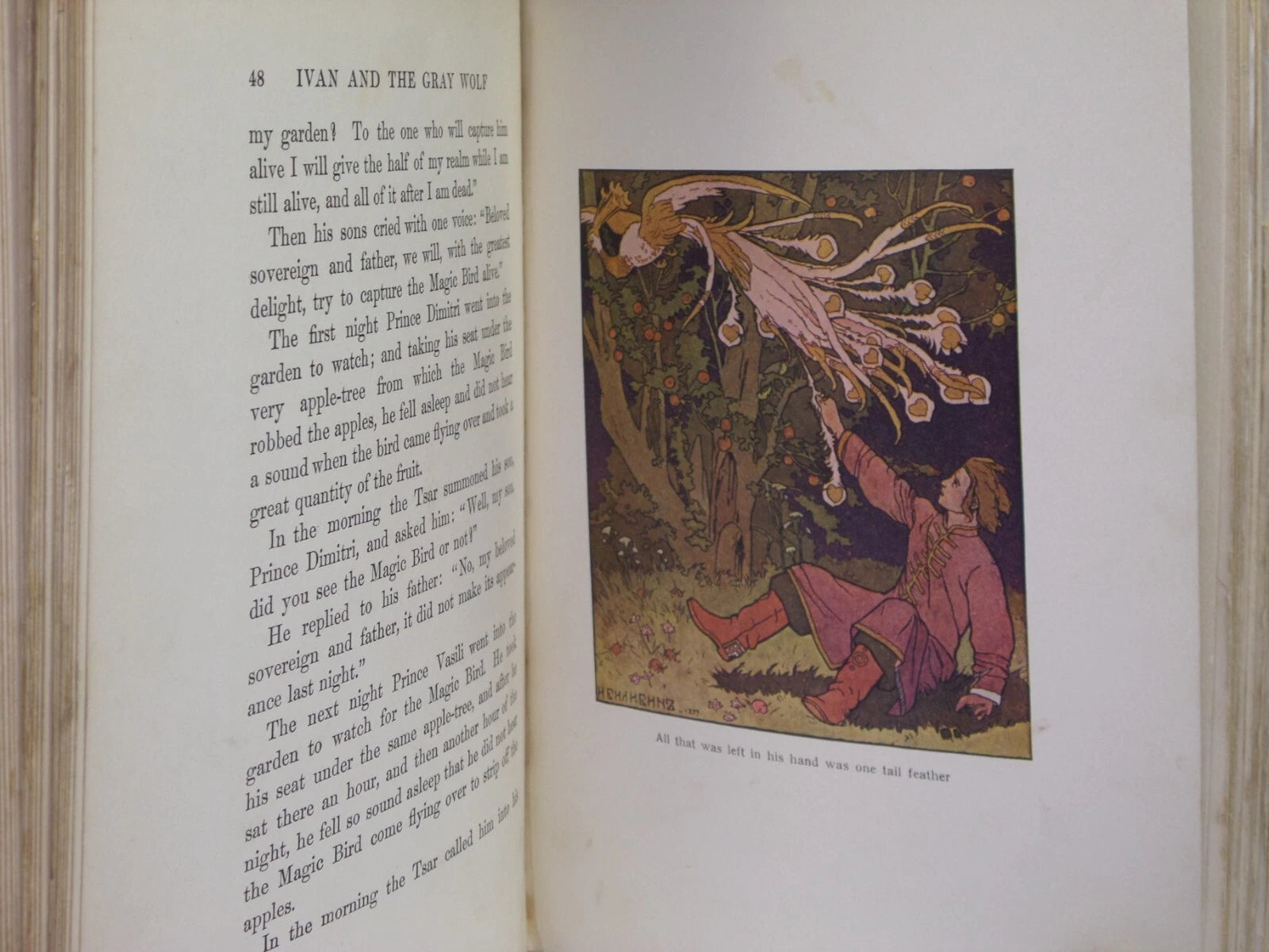 THE RUSSIAN FAIRY BOOK TRANSLATED BY NATHAN HASKELL DOLE 1908