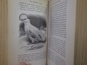 THE DESCENT OF MAN BY CHARLES DARWIN 1888 IN TWO VOLUMES