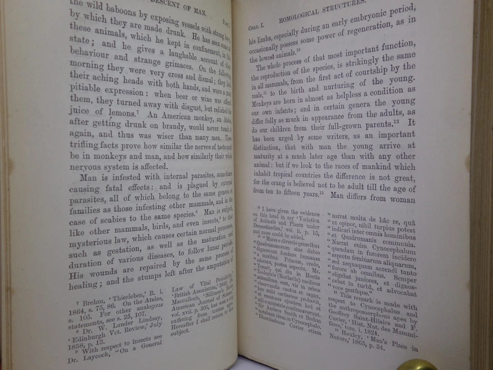 THE DESCENT OF MAN BY CHARLES DARWIN 1888 IN TWO VOLUMES