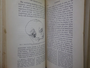 THE DESCENT OF MAN BY CHARLES DARWIN 1888 IN TWO VOLUMES