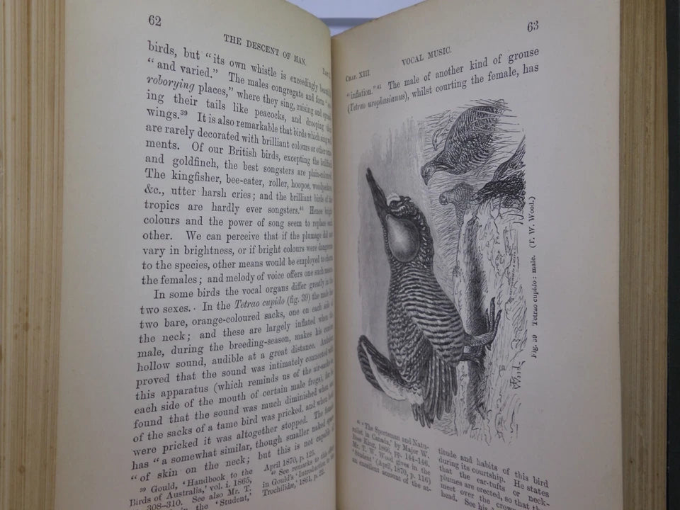 THE DESCENT OF MAN BY CHARLES DARWIN 1888 IN TWO VOLUMES