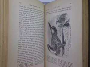 THE DESCENT OF MAN BY CHARLES DARWIN 1888 IN TWO VOLUMES