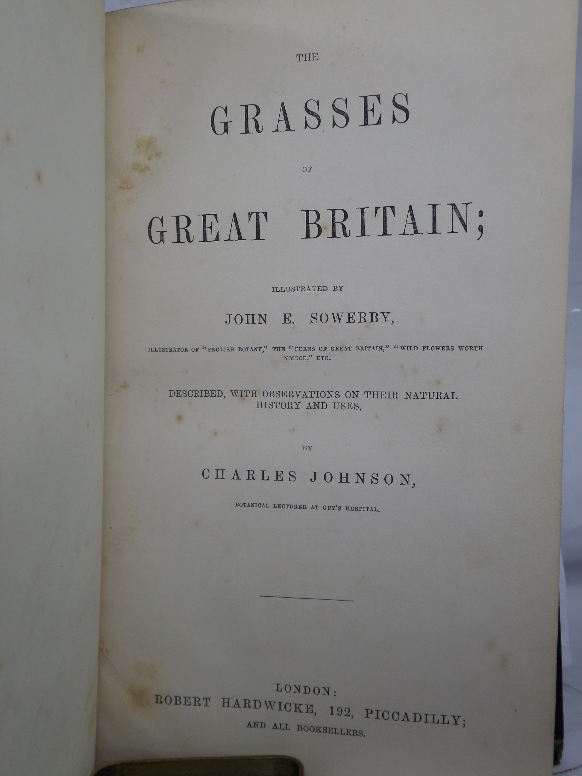 THE GRASSES OF GREAT BRITAIN BY CHARLES JOHNSON C1860 FINE BINDING, JOHN SOWERBY ILLUSTRATIONS