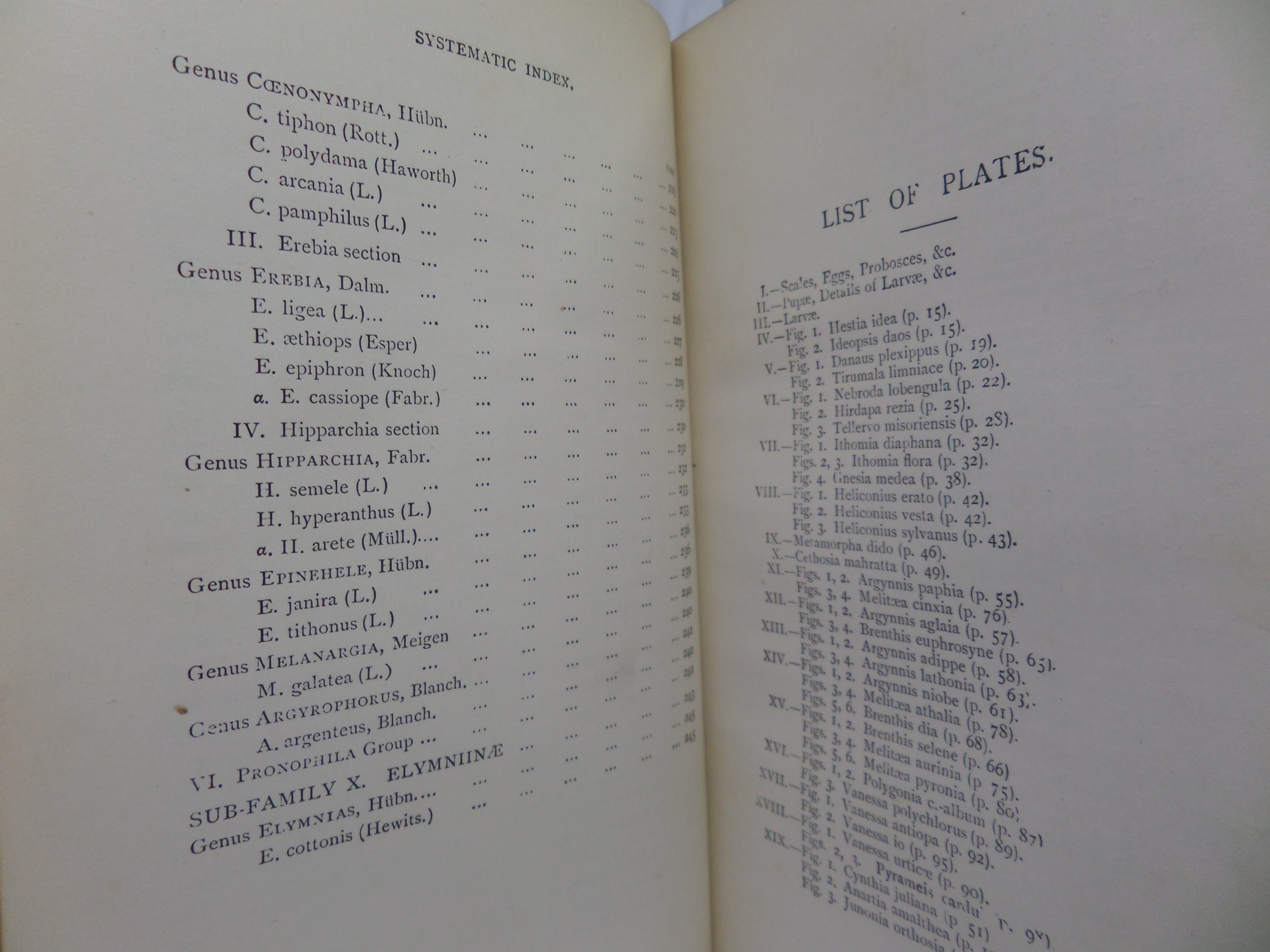 A HAND-BOOK TO THE ORDER LEPIDOPTERA [BUTTERFLIES & MOTHS] BY W.F. KIRBY 1896-97