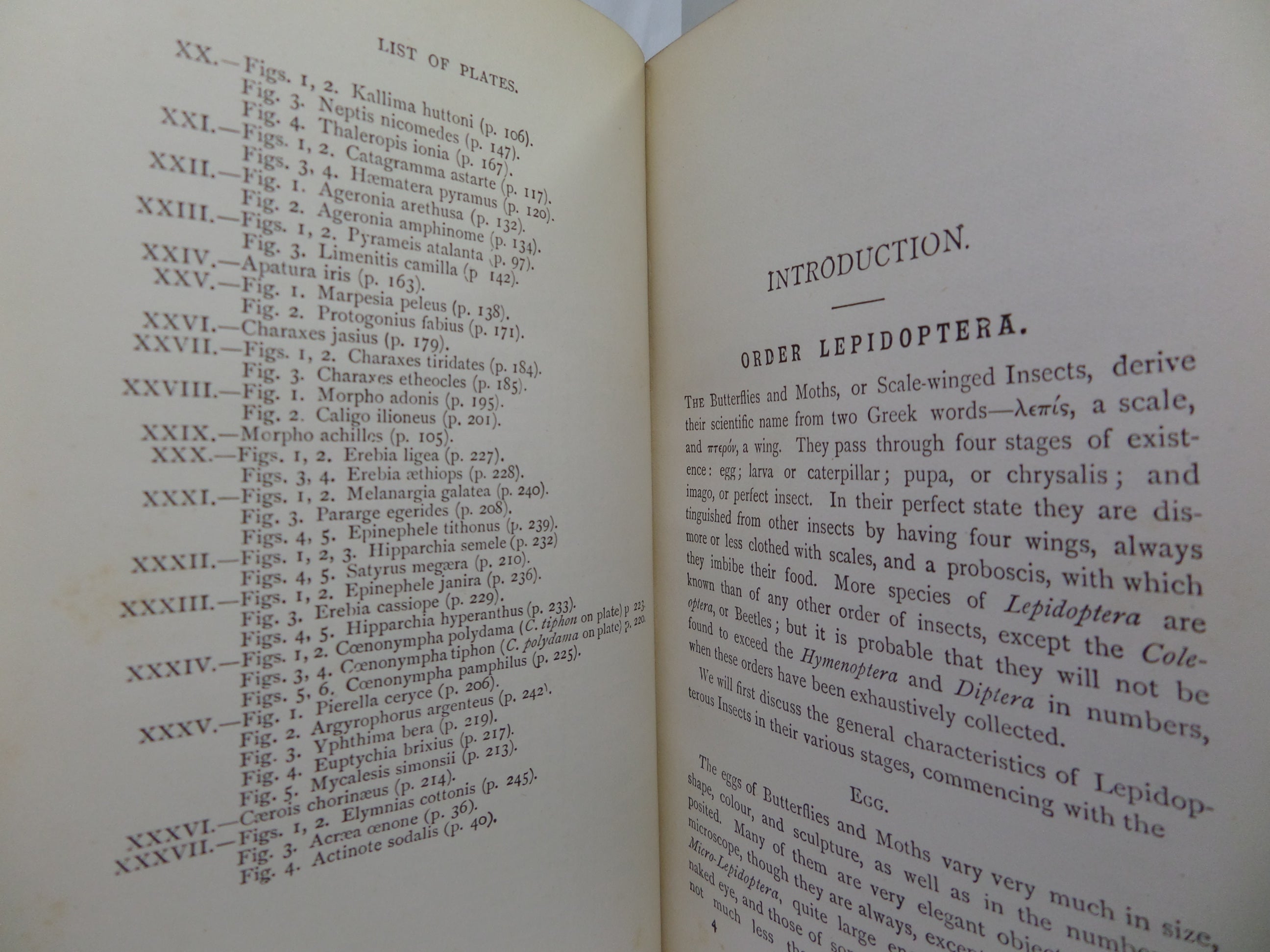 A HAND-BOOK TO THE ORDER LEPIDOPTERA [BUTTERFLIES & MOTHS] BY W.F. KIRBY 1896-97