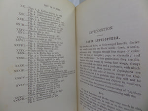 A HAND-BOOK TO THE ORDER LEPIDOPTERA [BUTTERFLIES & MOTHS] BY W.F. KIRBY 1896-97