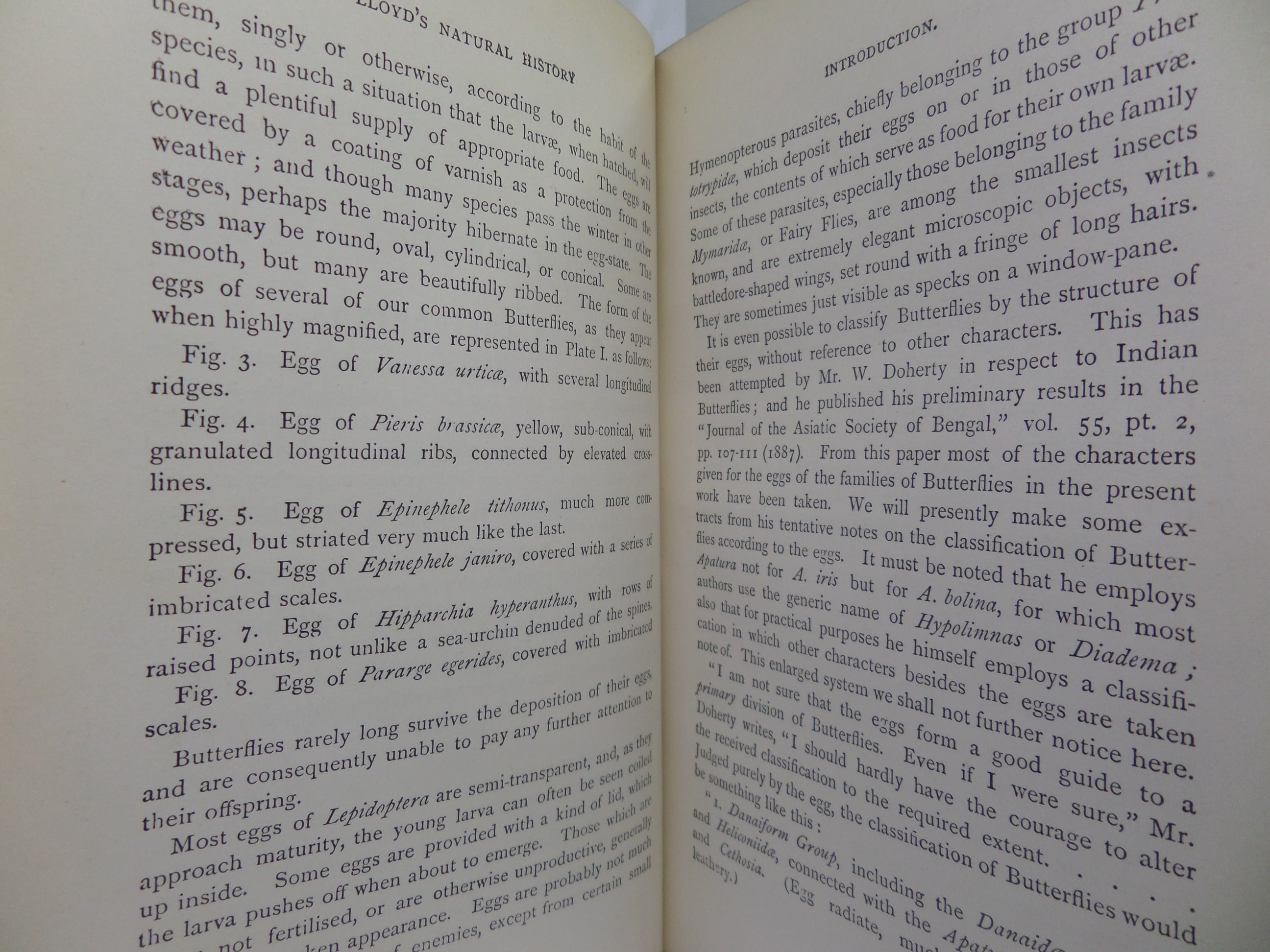 A HAND-BOOK TO THE ORDER LEPIDOPTERA [BUTTERFLIES & MOTHS] BY W.F. KIRBY 1896-97