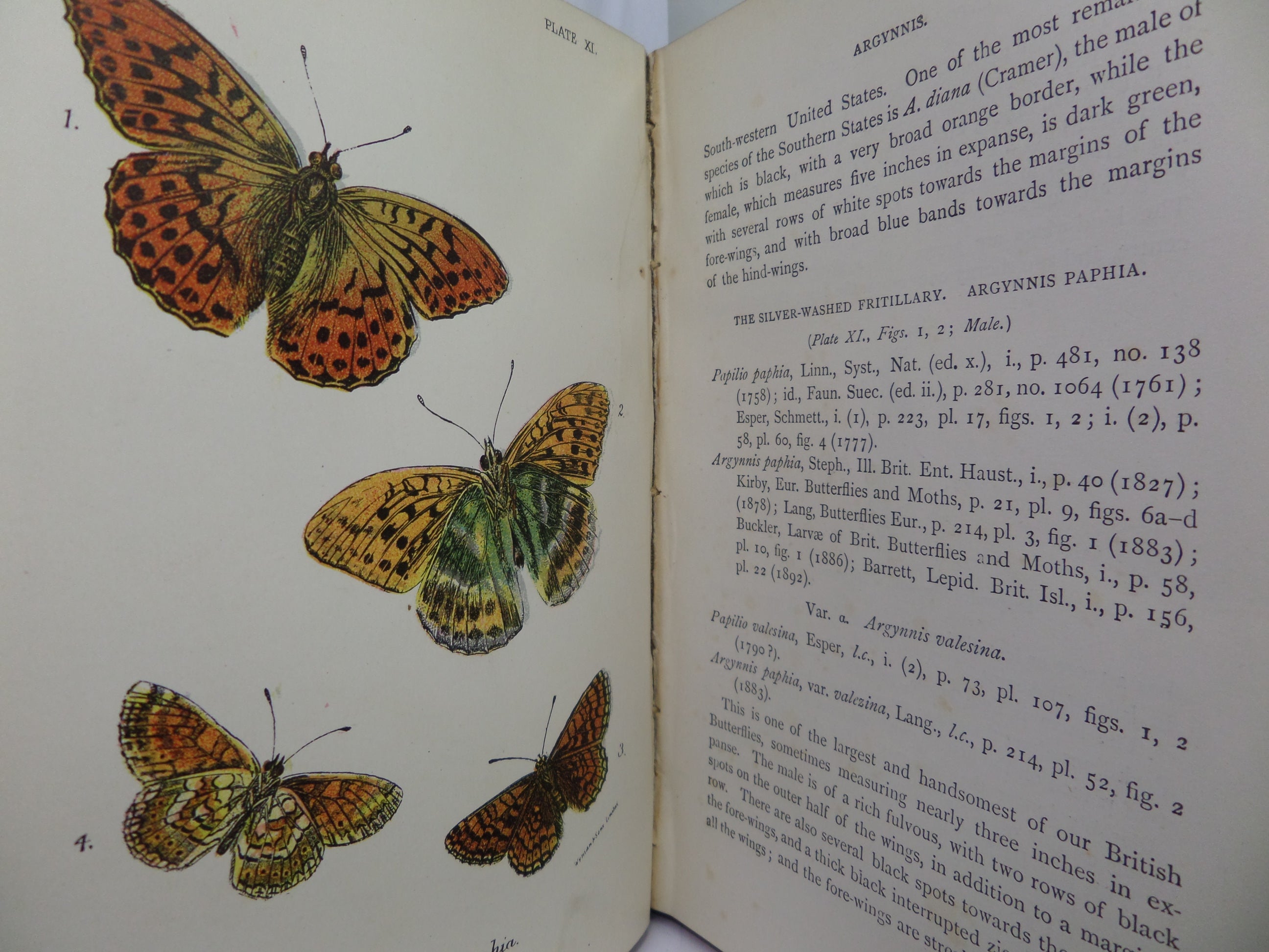 A HAND-BOOK TO THE ORDER LEPIDOPTERA [BUTTERFLIES & MOTHS] BY W.F. KIRBY 1896-97