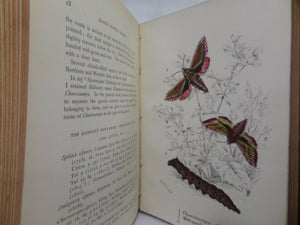 A HAND-BOOK TO THE ORDER LEPIDOPTERA [BUTTERFLIES & MOTHS] BY W.F. KIRBY 1896-97