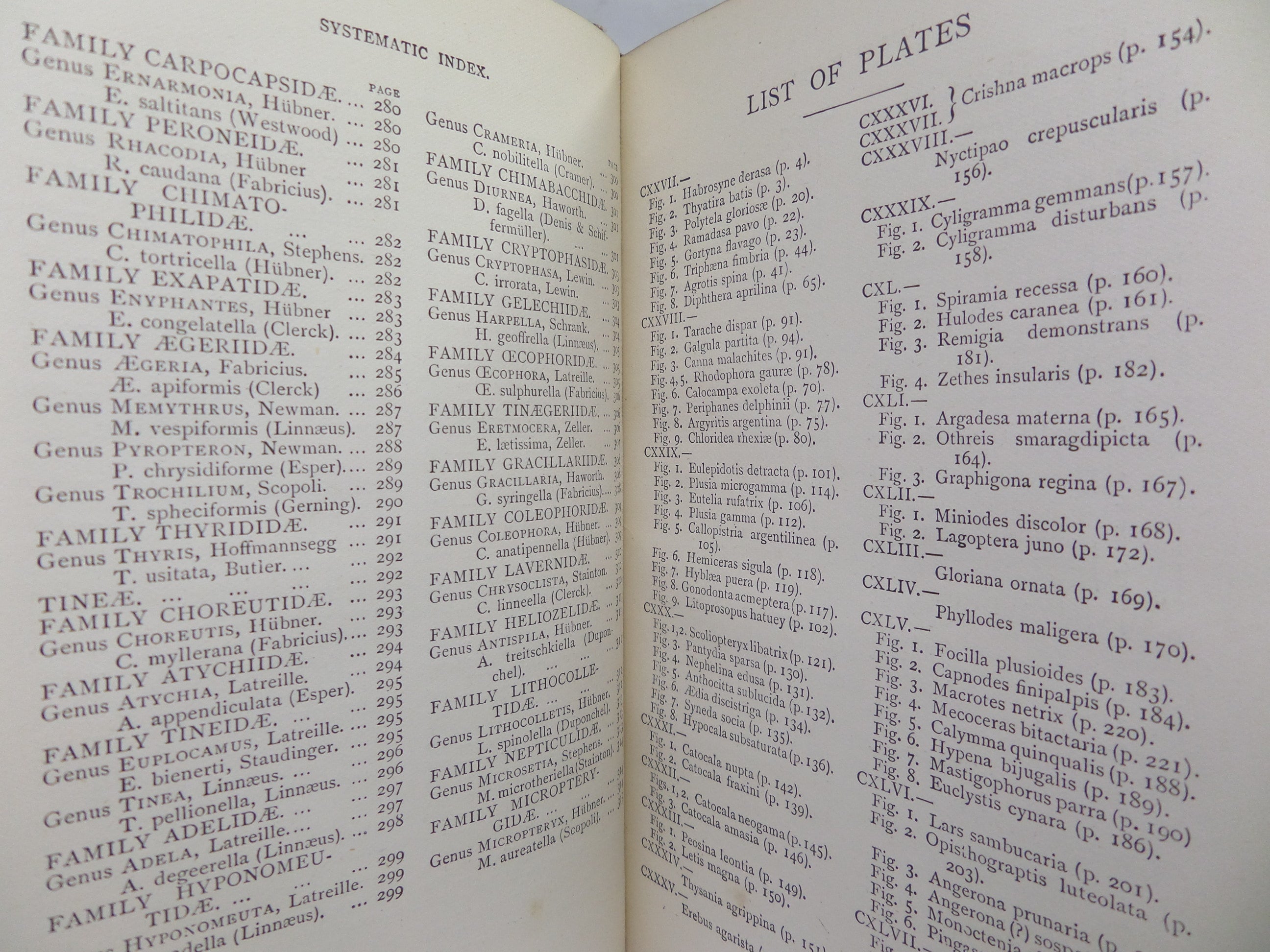 A HAND-BOOK TO THE ORDER LEPIDOPTERA [BUTTERFLIES & MOTHS] BY W.F. KIRBY 1896-97