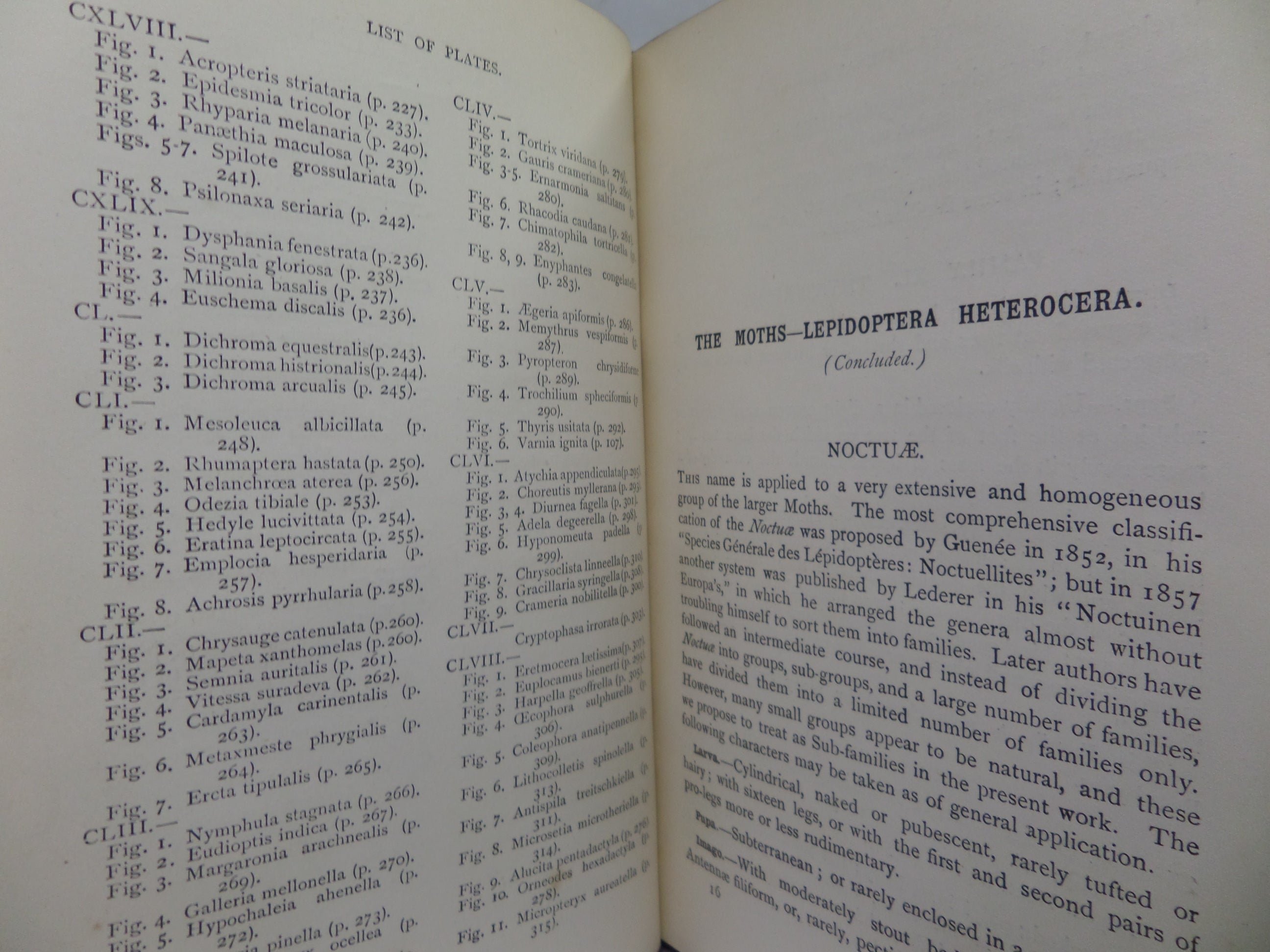 A HAND-BOOK TO THE ORDER LEPIDOPTERA [BUTTERFLIES & MOTHS] BY W.F. KIRBY 1896-97