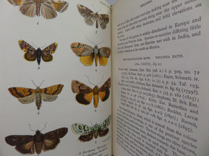 A HAND-BOOK TO THE ORDER LEPIDOPTERA [BUTTERFLIES & MOTHS] BY W.F. KIRBY 1896-97