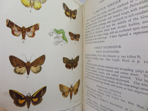 A HAND-BOOK TO THE ORDER LEPIDOPTERA [BUTTERFLIES & MOTHS] BY W.F. KIRBY 1896-97