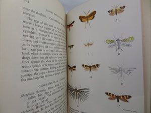 A HAND-BOOK TO THE ORDER LEPIDOPTERA [BUTTERFLIES & MOTHS] BY W.F. KIRBY 1896-97