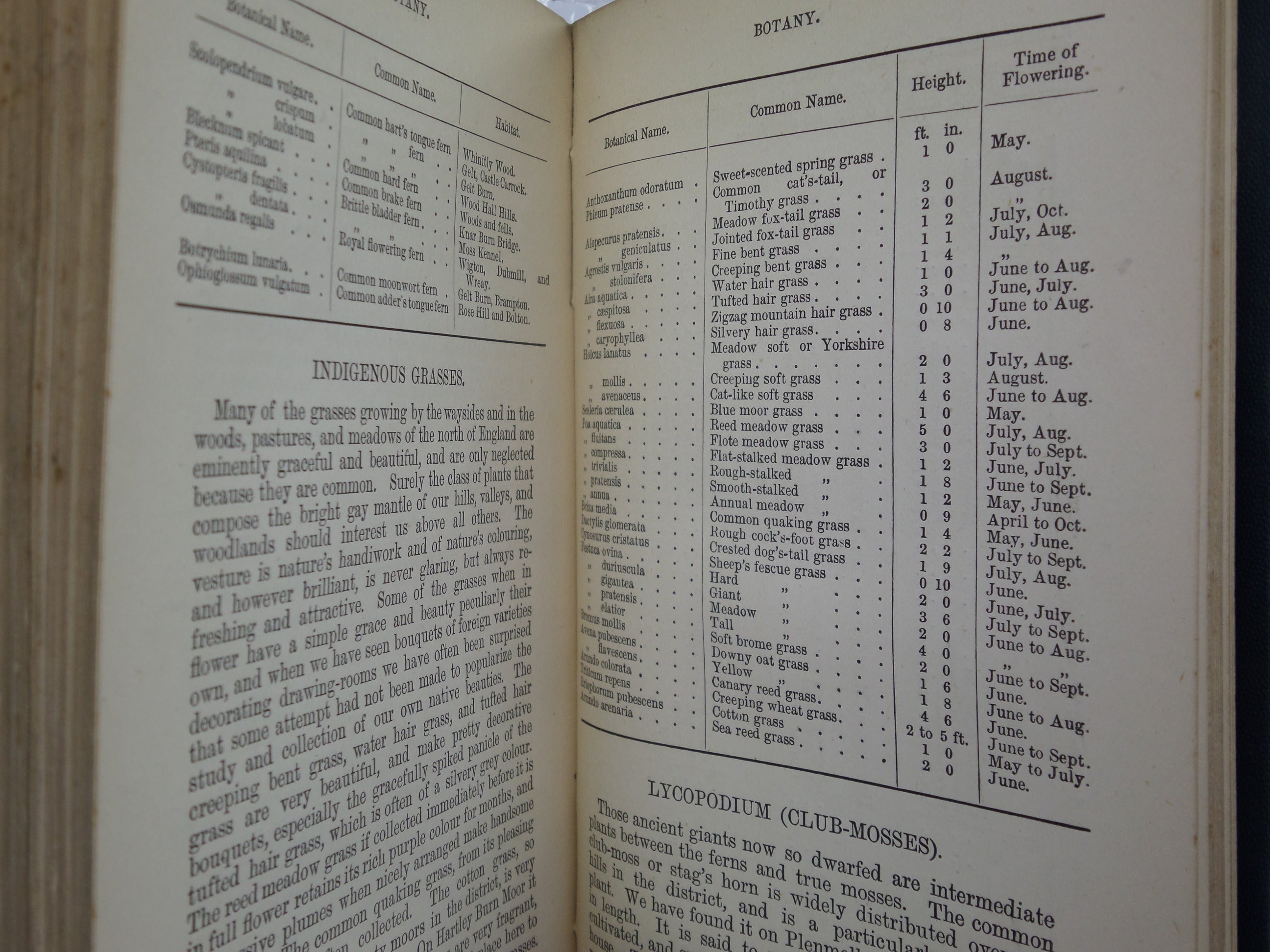 JENKINSON'S PRACTICAL GUIDE TO CARLISLE, GILSLAND, ROMAN WALL, AND NEIGHBOURHOOD 1884 SECOND EDITION