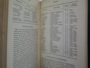 JENKINSON'S PRACTICAL GUIDE TO CARLISLE, GILSLAND, ROMAN WALL, AND NEIGHBOURHOOD 1884 SECOND EDITION