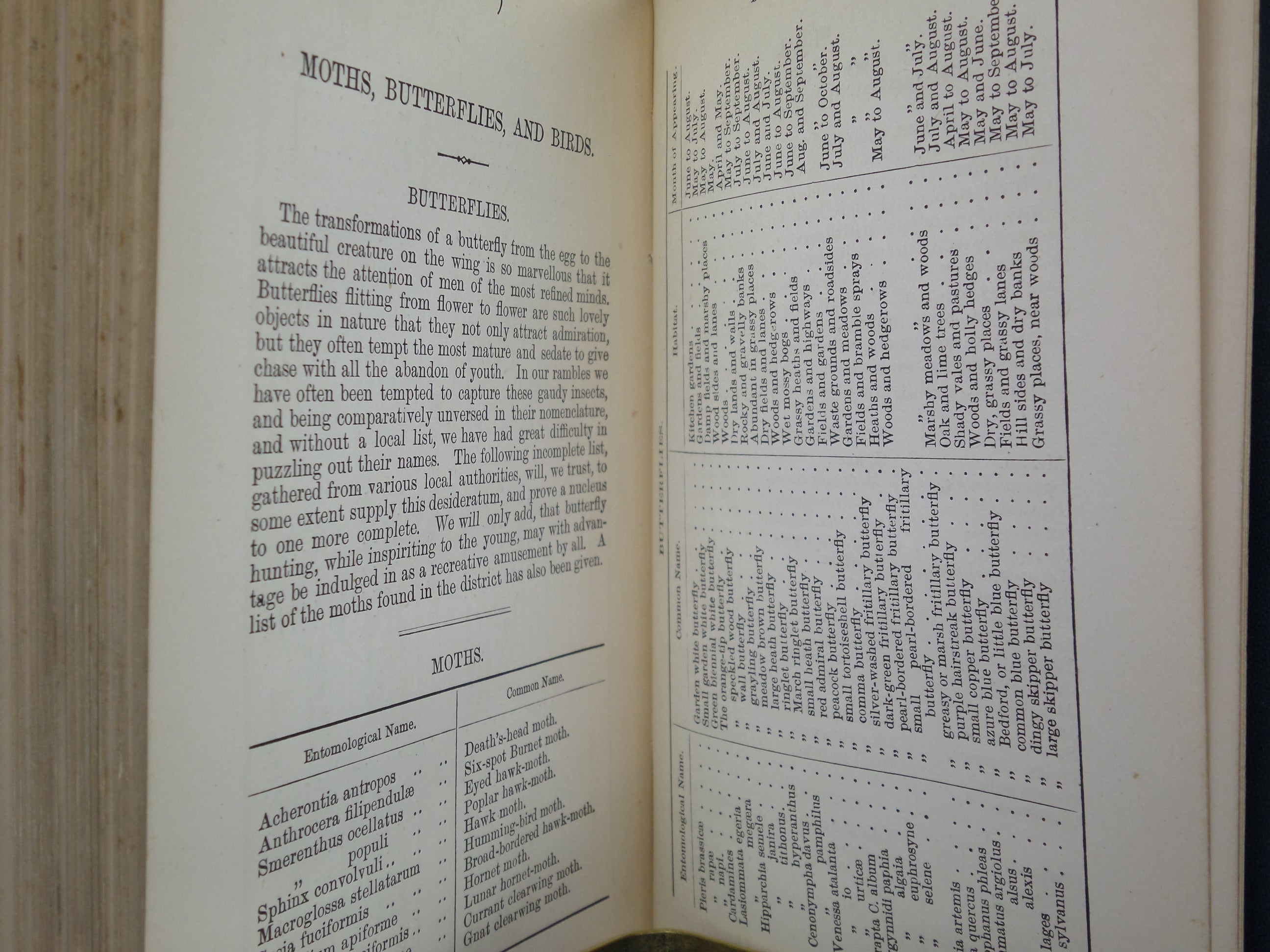 JENKINSON'S PRACTICAL GUIDE TO CARLISLE, GILSLAND, ROMAN WALL, AND NEIGHBOURHOOD 1884 SECOND EDITION