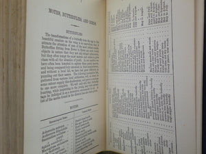 JENKINSON'S PRACTICAL GUIDE TO CARLISLE, GILSLAND, ROMAN WALL, AND NEIGHBOURHOOD 1884 SECOND EDITION