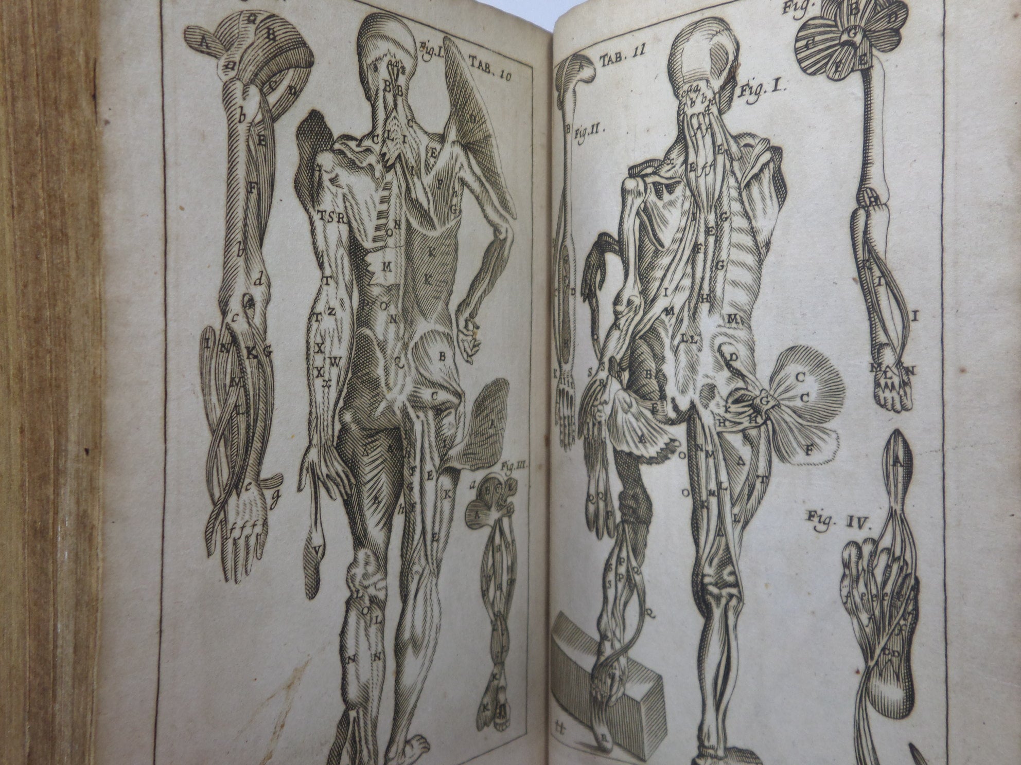 ARS ANATOMICA OR THE ANATOMY OF HUMANE BODIES, WILLIAM SALMON 1714 FIRST EDITION