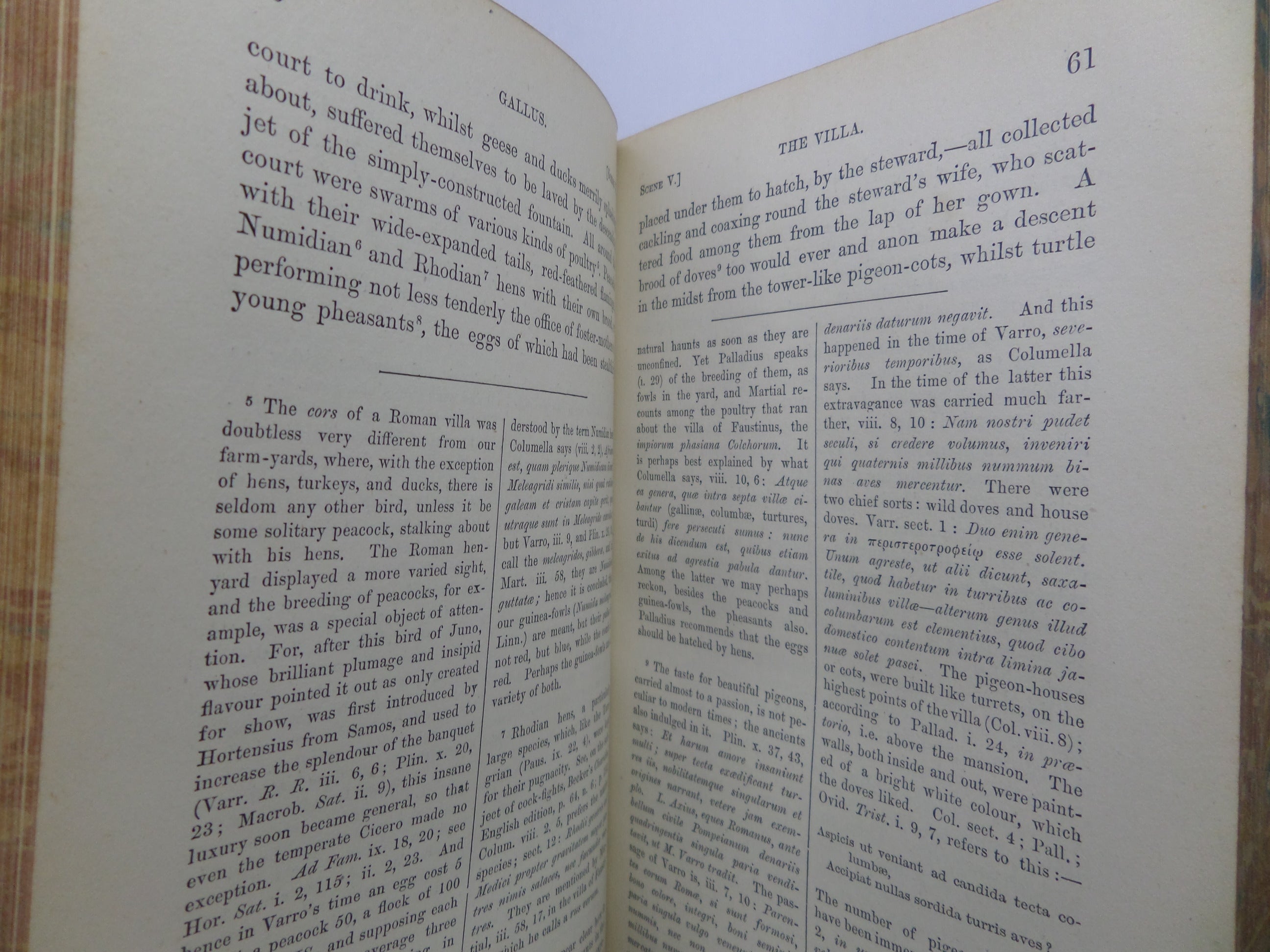 GALLUS OR ROMAN SCENES OF THE TIME OF AUGUSTUS 1873 W.A. BECKER FOURTH EDITION