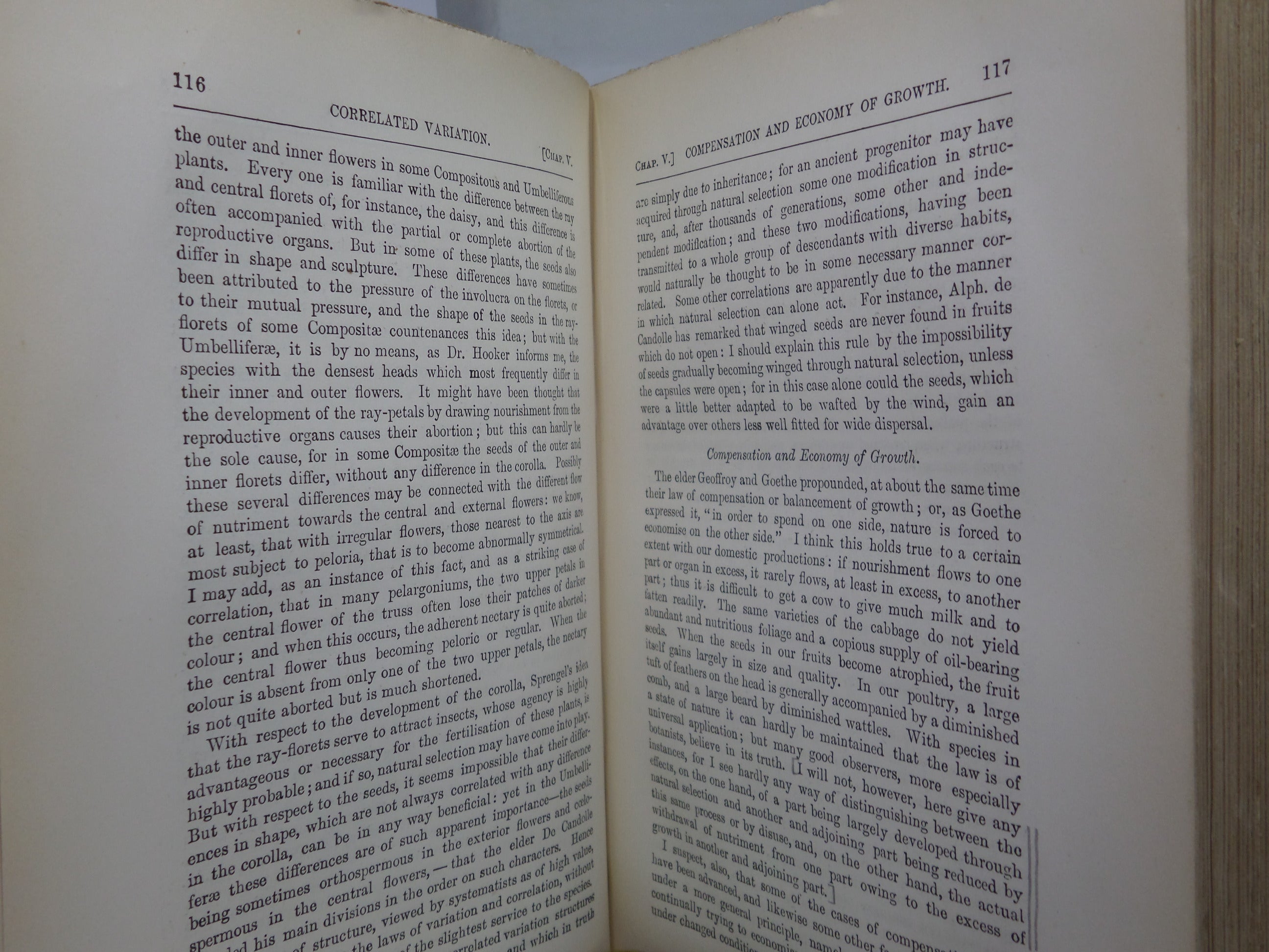 THE ORIGIN OF SPECIES BY CHARLES DARWIN 1885 SIXTH EDITION