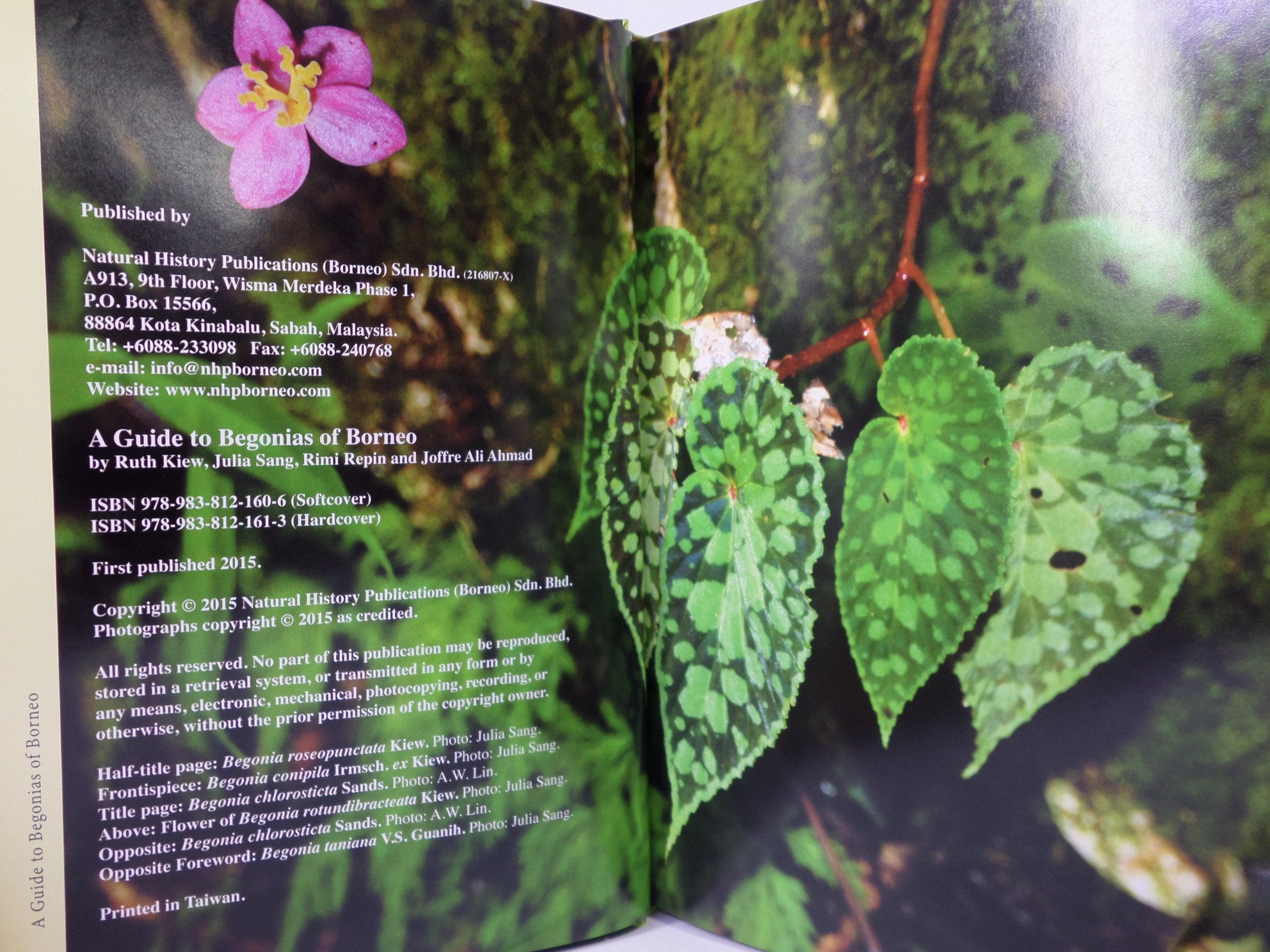 A GUIDE TO BEGONIAS OF BORNEO BY RUTH KIEW 2015 HARDCOVER