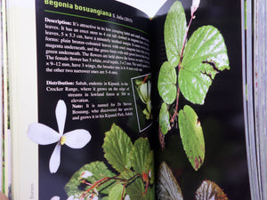 A GUIDE TO BEGONIAS OF BORNEO BY RUTH KIEW 2015 HARDCOVER